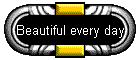 Beautiful every day
