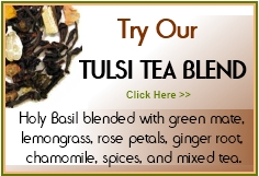 tulsi tea